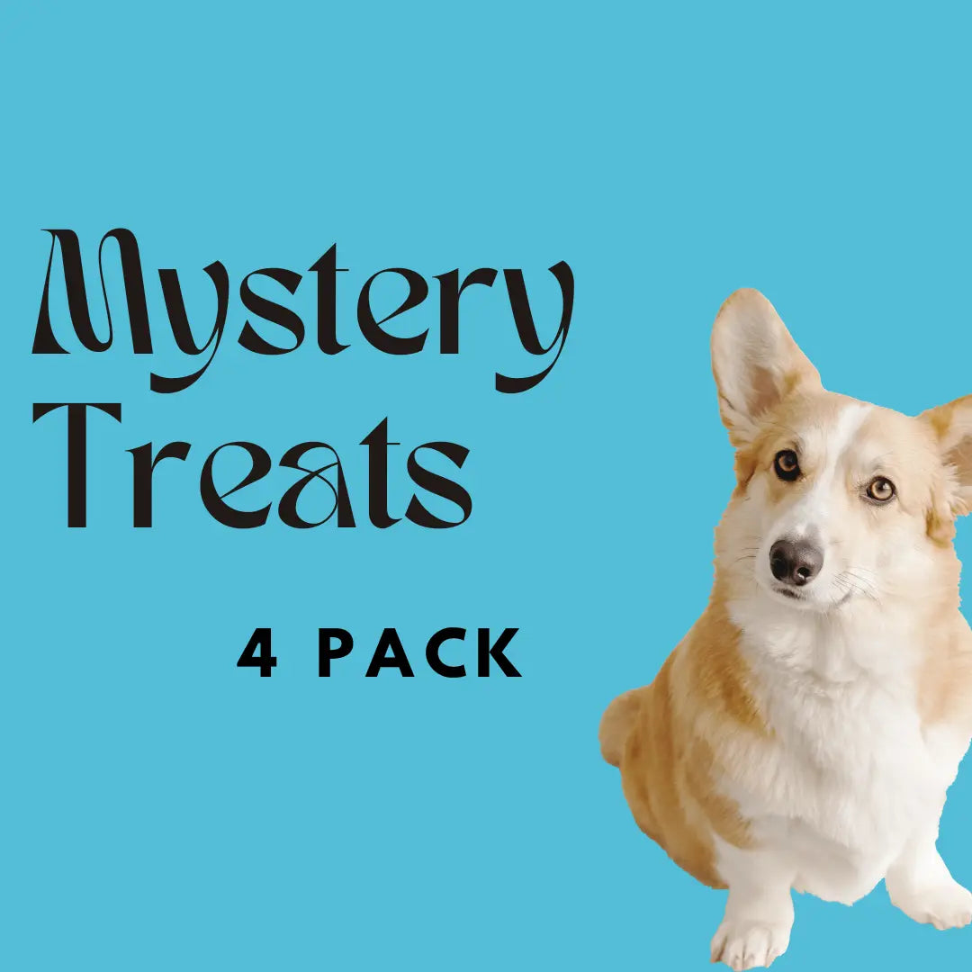 Mystery Dog Treats - 4 Pack Bundle Bark & Beyond