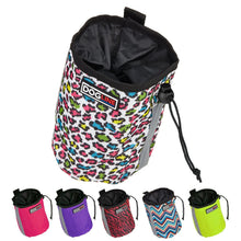 Beta Treat Pouch with Built-In Waste Bag Dispenser