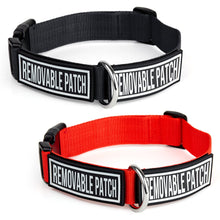 Dogline Omega Nylon Dog Collar with Space for Removable Patches