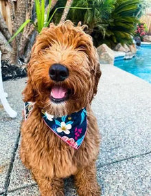Navy Floral Bandana.