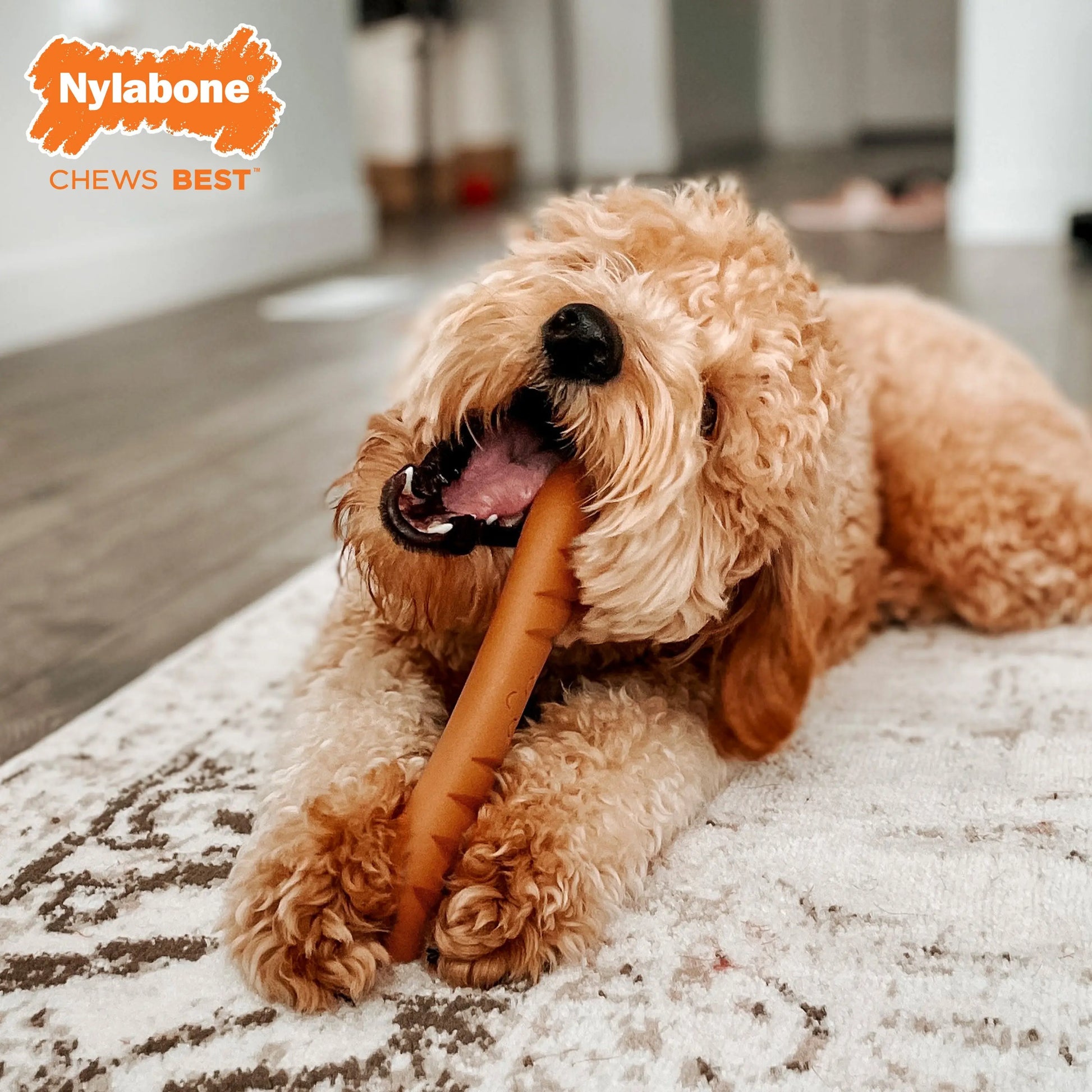 Nylabone Power Chew Baguette Dog Toy Chicken 1ea/Large/Giant - Up To 50 lb Nylabone