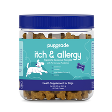 Itch & Allergy