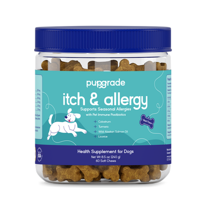 Itch & Allergy