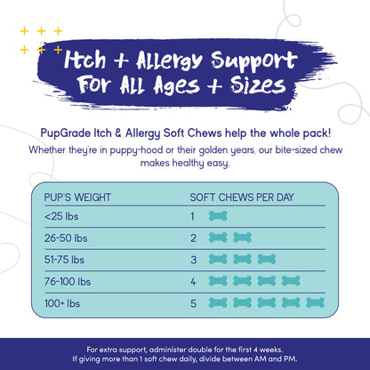 Itch & Allergy