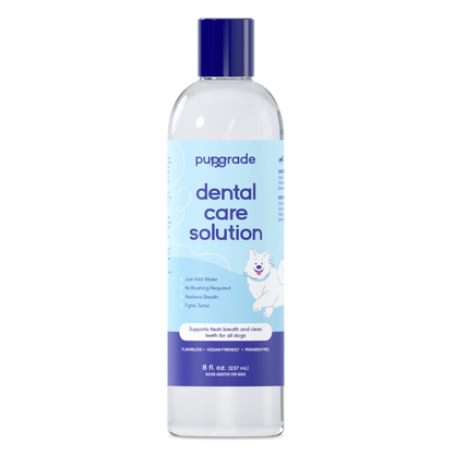 Dental Care Solution