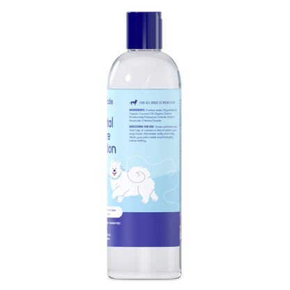 Dental Care Solution