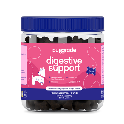 Digestive Support