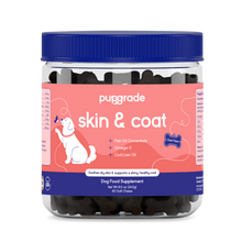 Skin & Coat Support