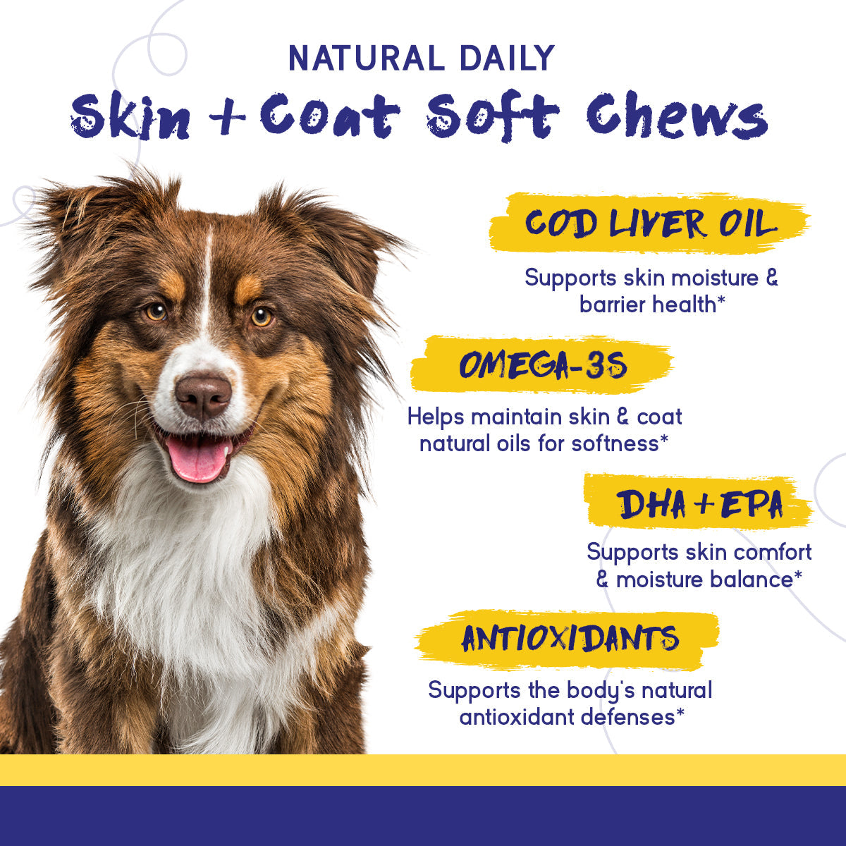 Skin & Coat Support