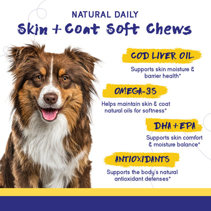 Skin & Coat Support