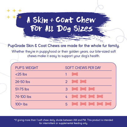 Skin & Coat Support