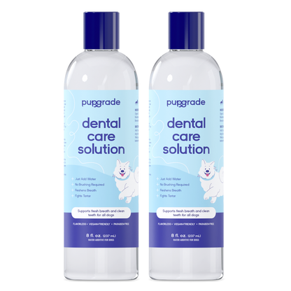 Dental Care Solution