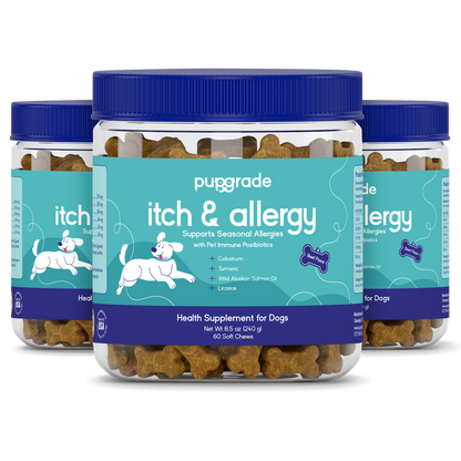 Itch & Allergy