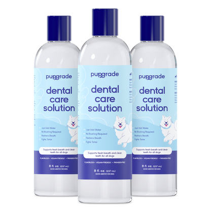 Dental Care Solution
