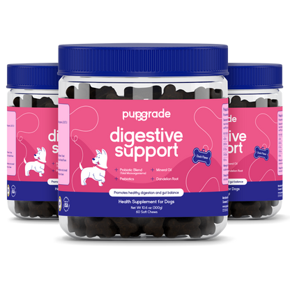 Digestive Support