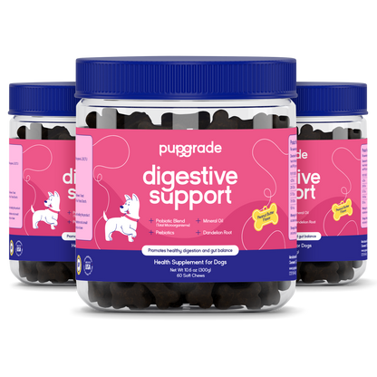 Digestive Support