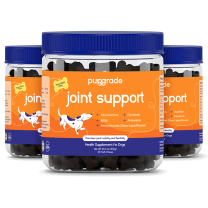 Joint Support