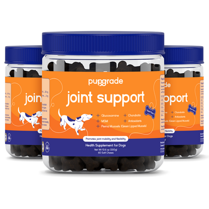 Joint Support