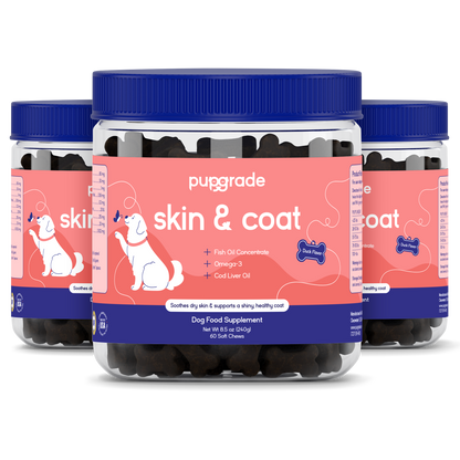 Skin & Coat Support