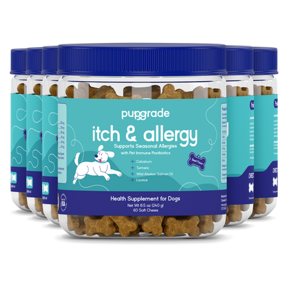 Itch & Allergy
