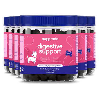 Digestive Support