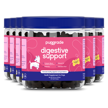 Digestive Support