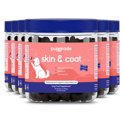 Skin & Coat Support