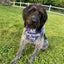 Patriotic All American Dog Bandana.