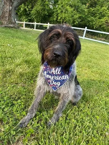 Patriotic All American Dog Bandana.