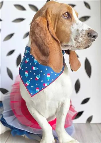 Patriotic | Memorial Day Bandana | USA | Patriotic bandana | Popsicles | 4th of July Hunter K9