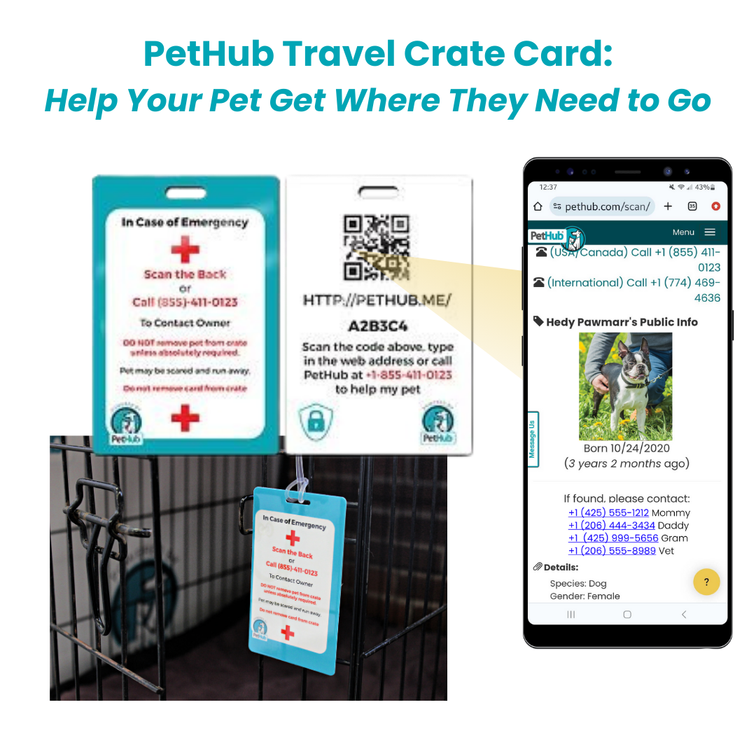 QR Pet Identification: Travel Crate Card