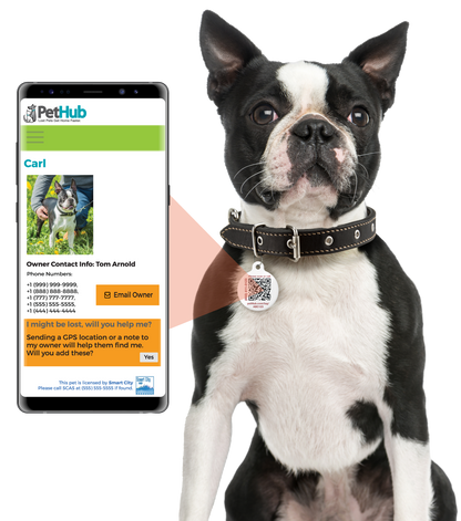 PetHub QR Pet ID Sticker – Upgrade Any Tag + Backup Pet Protection