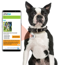 PetHub QR Pet ID Tag – Oh Crap I’m Lost