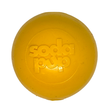 Squeak Ball - Durable Squeaky Dog Toy, Floats, Chew Toy | USA Made