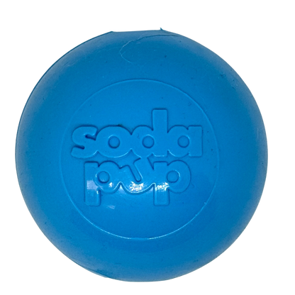 Squeak Ball - Durable Squeaky Dog Toy, Floats, Chew Toy | USA Made