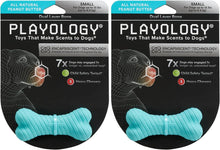 Playology Scented Dual Layer Bone Dog Toy, Small, 2 Count - Bark & Beyond