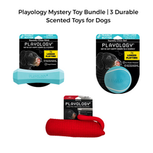 Playology Mystery Toy Bundle | 3 Durable Scented Toys for Dogs