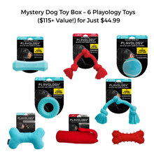 Mystery Dog Toy Box – 6 Playology Toys ($115+ Value!) for Just $44.99