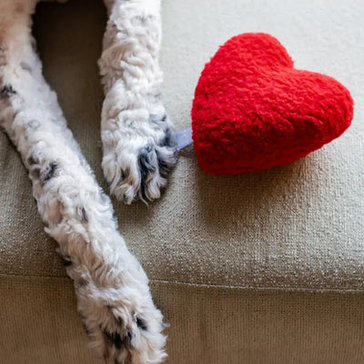 Plush Red Heart Valentine's Day Dog Toy Midlee