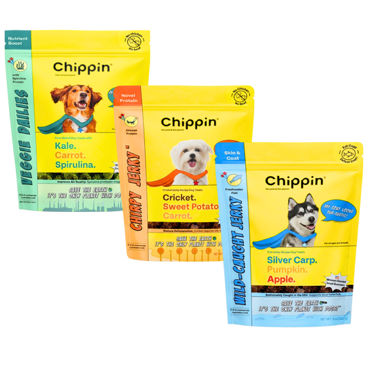 Chippin Protein Starter Pack