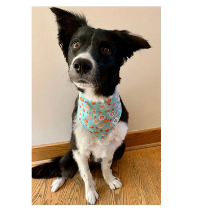 Pumpkin Spice Latte Dog Bandana, Large.