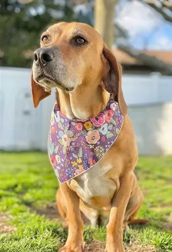 Purple Floral Bandana.