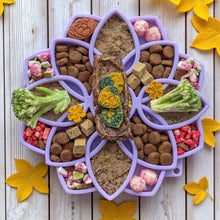 Mandala Softie eTray Shallow Slow Feeder Dog Bowl with Suction Cups |  USA Made