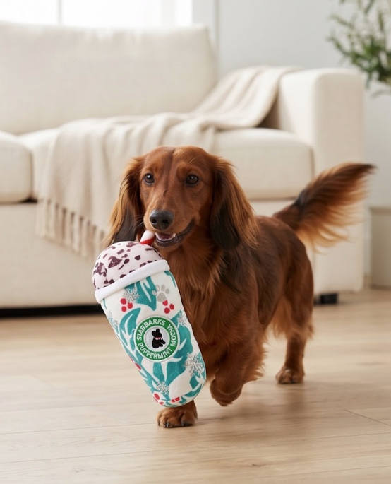 Holly Cup, Green Stars Bone, & Haute Chocolate | Christmas Dog Toys