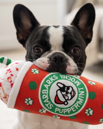 Haute Chocolate, Puppermint Mocha, & Dog Nog | Christmas Dog Toys