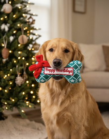 Starbarks Puppermint Mocha Green Stars Cup & Bone | Christmas Dog Toys