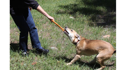 Rubber dog toy from SodaPup, heavy-duty Pop Top Tug Toy designed for interactive play and strong chewers.