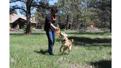 Rubber Pop Top Tug Toy for dogs, designed for heavy chewers, made by SodaPup, featuring a durable rubber material for interactive play.
