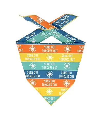 Summer Bandana | Nautical Bandana | Beach Bandana | Pool Dog Bandana Hunter K9