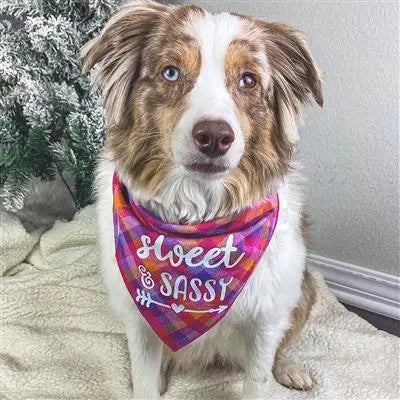 Sweet & Sassy Pink Flannel Plaid Dog Bandana.